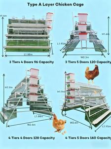 Cage à poules pondeuses de type 4/A/H, cages à volailles d'occasion bon marché, cage à volailles pour élevage de poulets, montage facile, durable - Product Image 4