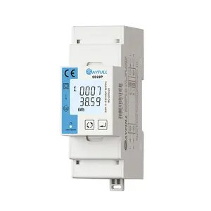 Rayfull Sd 20P 1 Fase Din Rail Resettable Energie Elektronische Energie Meter Elektrische Submeter