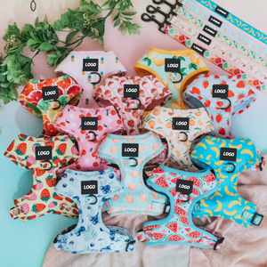 Personalized Designer Oem Custom Logo Wholesale Step In No Pull Adjustable Small Pet <strong>Dogs</strong> <strong>Harness</strong> For <strong>Dogs</strong> - Product Image 1