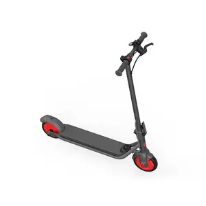 Original Segway Ninebot Zing C20 Kick Scooter 108Wh 20KM Range 20km/h Speed Electric Scooter