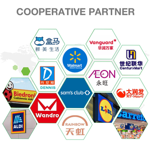 <span class=keywords><strong>เห็ด</strong></span>หูหนูขาว<span class=keywords><strong>แห้ง</strong></span>มาตรฐานส่งออก ราคาโรงงาน - Product Image 5