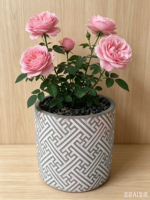 Jardinières en ciment à motif diamant - Pots de fleurs brillants pour la décoration intérieure (vente en gros)