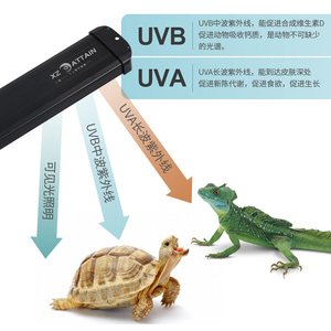 Reptile UVA + UVB Spectre Complet LED Lampe UV 10.0/20.0-<span class=keywords><strong>Tortue</strong></span> Lézard Serpent Lumière pour Terrarium & <span class=keywords><strong>Vivarium</strong></span> - Product Image 3