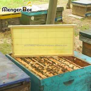 Cadres de ruche assemblés National Beehive Langstroth avec fondation en cire - Product Image 1