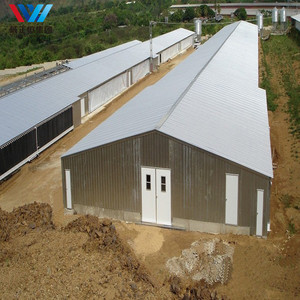 Progettazione su misura delle case di gallina della struttura d'acciaio per le case di gallina moderne della fattoria e gli allevamenti di pollo della griglia su grande <span class=keywords><strong>scala</strong></span> - Product Image 2