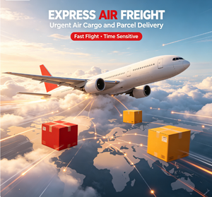 Partenaire logistique e-commerce en gros Chine-USA par mer, air et express pour les détaillants en ligne Temu, Shein, <span class=keywords><strong>Amazon</strong></span> - Product Image 2
