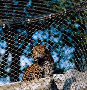 OEM Net amerika papağanı Aviary ağları Aviaries Metal papağan muhafaza Lwire eskrim büyük kuşlar Pet kafesleri Ss tel halat örgü - Product Image 5