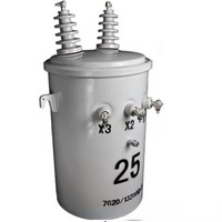 Transformateur de distribution monté sur pôle monophasé à noyau en alliage amorphe 25kva 37.5kva 167kva 500kva