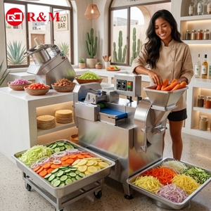 Macchina Elettrica Multifunzione Commerciale Industriale per Grattugiare, Tagliare e Tritare Verdure, per Tagliare Cavoli - Product Image 1