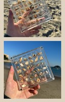 Mini-organisateur transparent en acrylique pour coquillages et ongles, avec logo gravé, pour usage domestique, cadre photo de taxidermie, vitrine avec fixation magnétique