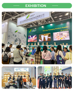 4D <span class=keywords><strong>compostable</strong></span> bột giấy Bộ đồ ăn container thực phẩm phân hủy sinh học vuông dùng một lần phân hủy thực phẩm thịt khay - Product Image 6