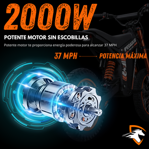 มอเตอร์ไซค์วิบากแบบไร้แปรงถ่าน 2000W 3 สปีด 48V มินิสปอร์ตไบค์สำหรับผู้ใหญ่ 48V 2000W มอเตอร์ไซค์วิบากสำหรับผู้ใหญ่ - Product Image 6