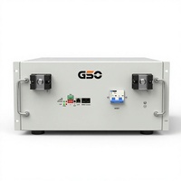 US-Standard 51,2V 100Ah Rack-Montierte LiFePO4-Batterie 5kWh Lithium-Eisenphosphat-Solarenergiespeicherbatterie