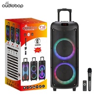 Enceinte de fête professionnelle en gros avec machine karaoké, batterie rechargeable 60W 11.1V, microphone sans fil BT5.0 et télécommande