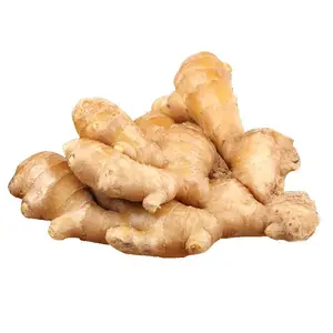 Import Dry Ginger Fresh Ginger From China