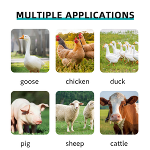 Additif alimentaire naturel pour volaille, déparasitage, santé intestinale et contrôle des parasites-améliore la digestion pour les élevages de poulets et de canards - Product Image 4