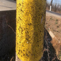 Rouleau de piège à colle double face pour mouches des fruits, 10 cm x 100 m, piège à insectes collant à forte adhérence pour la lutte antiparasitaire des vergers et serres