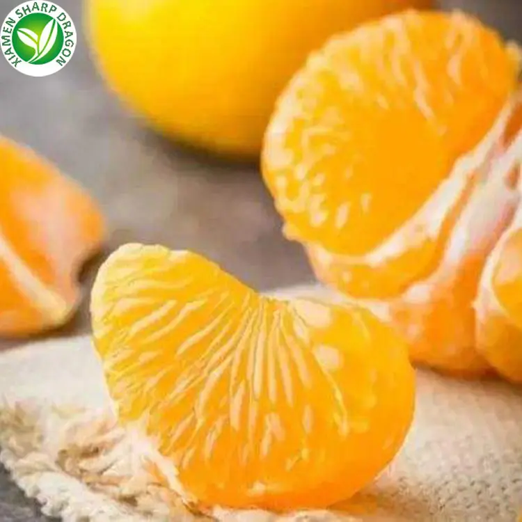 IQF Bulk Peeled Frozen Organic Peel der Mandarin in Scheiben geschnittenen Orange Slice Disc Block ungesüßte Mandarine Healthy Natural Freeze Whol