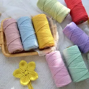 Fabriek Aangepaste Kleur Katoenen Touw Groothandel Macrame Touw 4Mm Katoen Gevlochten Koord