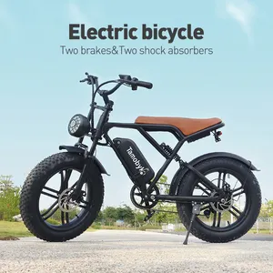 750W Ebike 20Inch Fat Tire Electronic Bicycle Factory Price All Terain Off Road Electric Bicycle Full Suspension Electric Bike