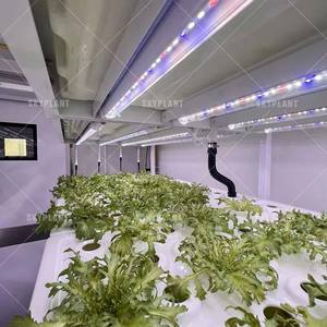 Système de culture hydroponique de fourrage Skyplant 40HQ, conteneur frigorifique de grande taille, modèle SK-L000256, pour usage agricole - Product Image 5