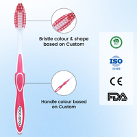 Fabrication professionnelle, brosse à dents portable en plastique pour adultes avec logo personnalisé