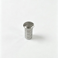 Boulon de fixation encastré au sol en laiton et acier inoxydable, finition chrome poli, anti-poussière, durable pour porte coulissante