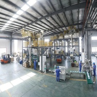 Nouvelle machine de fabrication de granulés d'aliments pour poissons à alimentation verticale de 5 tonnes par heure, gain de place, projet clé en main, acier inoxydable de qualité alimentaire