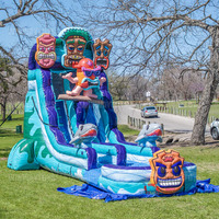 Offre Spéciale personnalisez le toboggan aquatique gonflable commercial de toboggan d'aventure sur le thème tropical avec le toboggan aquatique gonflable de piscine