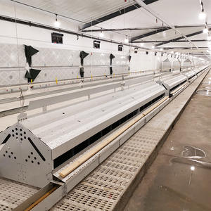 Máquina alimentadora <span class=keywords><strong>de</strong></span> cadena <span class=keywords><strong>de</strong></span> Casa <span class=keywords><strong>de</strong></span> pollo <span class=keywords><strong>de</strong></span> <span class=keywords><strong>precio</strong></span> barato <span class=keywords><strong>de</strong></span> fábrica <span class=keywords><strong>de</strong></span> Venta caliente/equipo <span class=keywords><strong>caja</strong></span> nido <span class=keywords><strong>de</strong></span> puesta <span class=keywords><strong>de</strong></span> huevos para granja avícola - Product Image 3