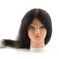 Tête d'entraînement/tête de mannequin tête d'entraînement nouvelle tête d'entraînement de coiffure/tête de mannequin