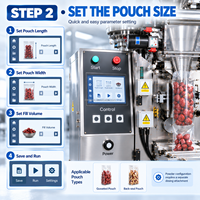Machine d'emballage DEEPACK pour sachets à soufflets, pour le conditionnement de fruits secs, avec remplissage de produits et confirmation de pliage de film