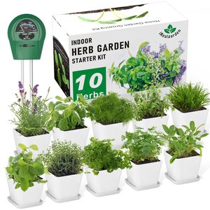 Kit <span class=keywords><strong>de</strong></span> jardinage intérieur pour herbes aromatiques avec pots et testeur d'humidité – Ensemble <span class=keywords><strong>de</strong></span> démarrage facile pour fenêtre – <span class=keywords><strong>Cadeau</strong></span> unique pour les jardiniers à domicile - Product Image 1