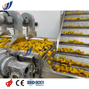 Linea di produzione automatica del succo della scatola di cartone asettico UHT della bevanda dalla pianta intera della frutta fresca - Product Image 2
