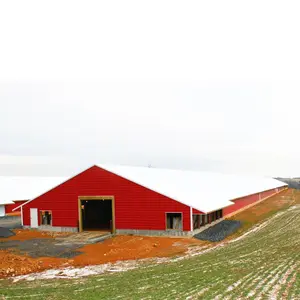 Pre Engineering Design Poultry Farm Shed