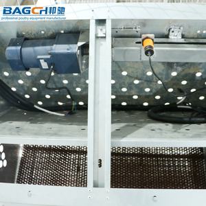 가금류 사육용 자동 컨베이어 벨트 기반 자동 계란 수집 및 자동 계란 상자 시스템 - Product Image 6