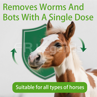 Complément alimentaire pour chevaux à base de probiotiques, anti-parasites, santé digestive, prébiotiques et probiotiques, pâte pour chevaux, saveur pomme