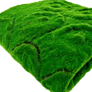 EG-G202 50cm*50cm Moss Mat Artificial Grass Square Flat Faux Synthetic Grass Moss