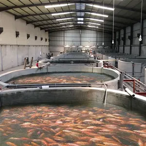 Criação de camarão Ras, Sistemas ras de Aquicultura, Projeto de sistema de Aquicultura de recirculação ras para sistema de piscicultura interna