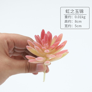 Bán Buôn Nhân Tạo Mini Xương Rồng Cây Mọng Nước Trang Trí - Product Image 4