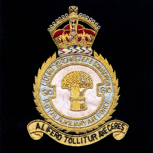 Écusson brodé en dentelle de haute qualité RAF AUXILIARY AIR, à coudre, en tissu, design circulaire de luxe pour vêtement, fil métallique - Product Image 1