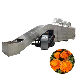 Weifeng Machine automatique de séchage de fleurs d'herbes du fabricant chinois Marigold Plantain Hibiscus