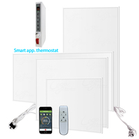 Contrôle sans fil WiFi + thermostat sans fil à distance C080-W 800 W 7*24 hrs Programmation hebdomadaire minuterie IR Panneau chauffant en cristal de carbone