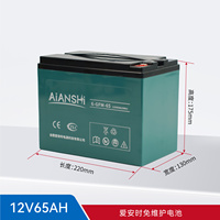 Batterie au gel sans entretien 12V 65Ah 6-GFM-65 AIANSHI, à décharge profonde VRLA, pour transpalette, gerbeur et autolaveuse