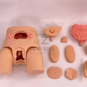 Nuevo Modelo de Cateterismo Masculino y Femenino, Modelo de Enseñanza y Entrenamiento Médico - Product Image 2