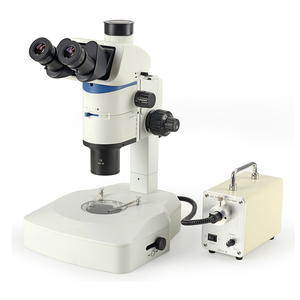 Bestscope BS-3080A Stéréoscope à lumière parallèle avec un rapport d'agrandissement élevé de 12,5:1 pour les sciences de la vie, la biomédecine - Product Image 1