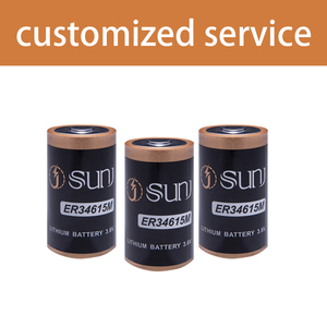 Pin Lithium sơ cấp Er34615m 3.6V 13000mAh Li-SOCL2, loại pin D - Product Image 6