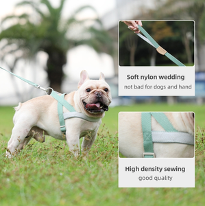 Rompi hewan peliharaan, <span class=keywords><strong>Harness</strong></span> anjing sedang besar, pengambil emas tali Jalan - Product Image 2