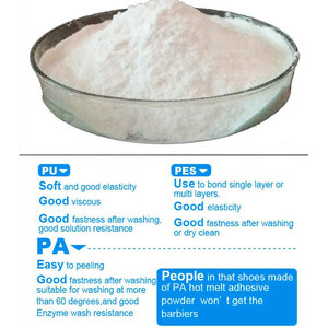 Nhà máy cung cấp trực tiếp Chất lượng cao copes co-polyester nóng chảy dính bột cho truyền nhiệt in ấn - Product Image 3