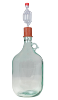 Vente en gros de sas de brassage domestique à 6 chambres pour la distillation par fermenteur 3pcs sas en plastique ODM OEM disponible